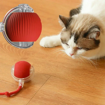 Diversão Sem Fim: Bola Automática com Cauda Falsa para Cães e Gatos Brincalhões!