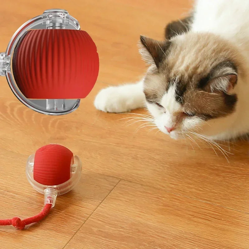 Diversão Sem Fim: Bola Automática com Cauda Falsa para Cães e Gatos Brincalhões!