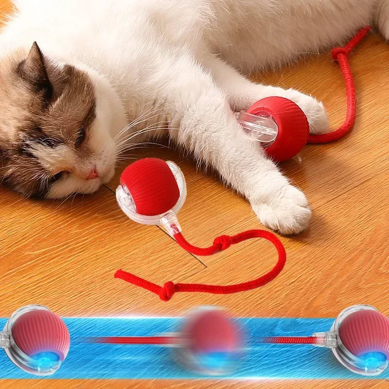 Diversão Sem Fim: Bola Automática com Cauda Falsa para Cães e Gatos Brincalhões!